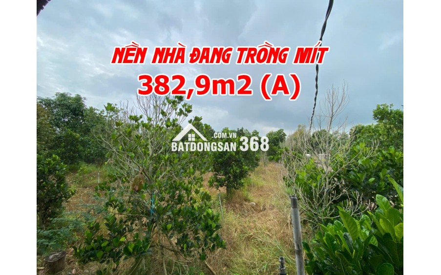 Bán đất ruộng lên ao sẵn tại Cao Lãnh